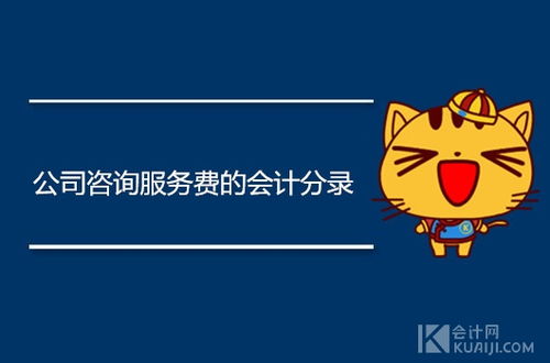 公司咨询服务费的会计分录怎么做