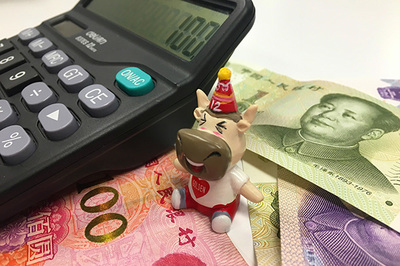 咨询服务费与会计服务 定义、应用与财务管理要点