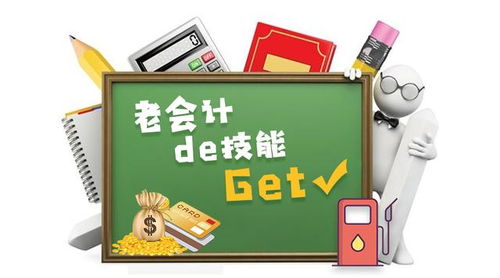 老会计的小锦囊 新会计不会的那些技能Get